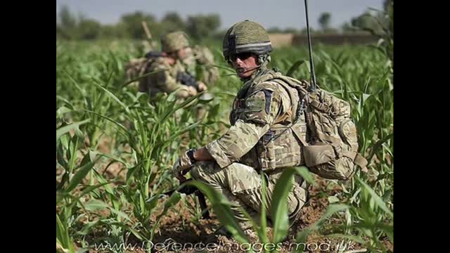 There won't be many Roy Orbison