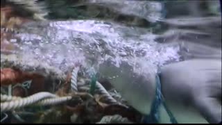 A Plastic Ocean Official Trailer