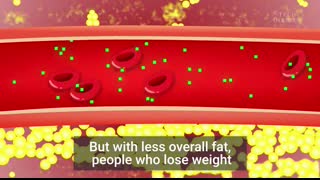 What Losing Weight Does To Your Body And Brain   The Human Body