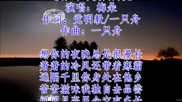 想你的时候问月亮   梅朵    +   lyrics