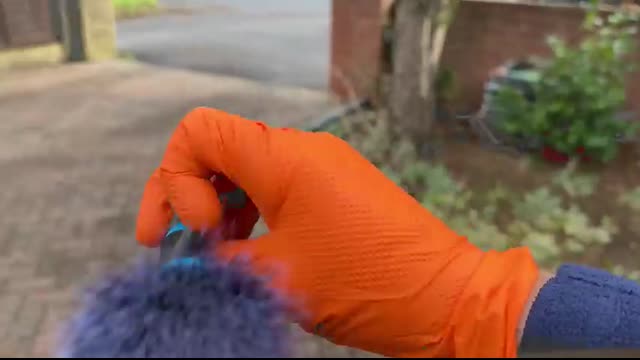 Here's How Professionals DEEP CLEAN Cars