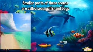 The Ocean   Science for Kids