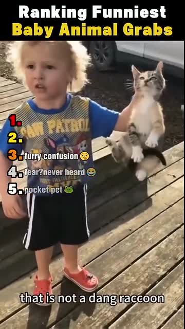 Ranking Funniest Baby Animal Catches