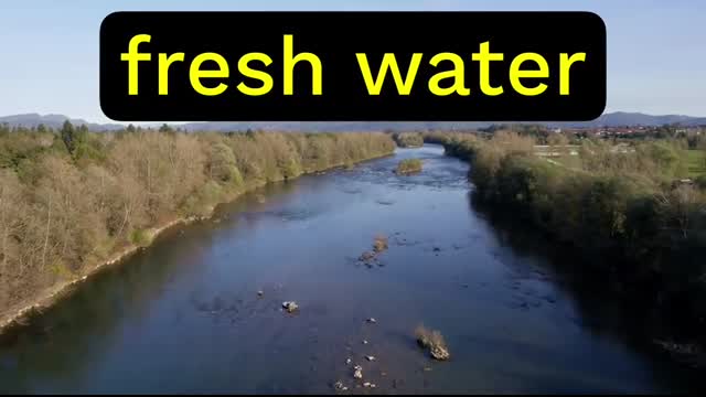 Why is the ocean salty