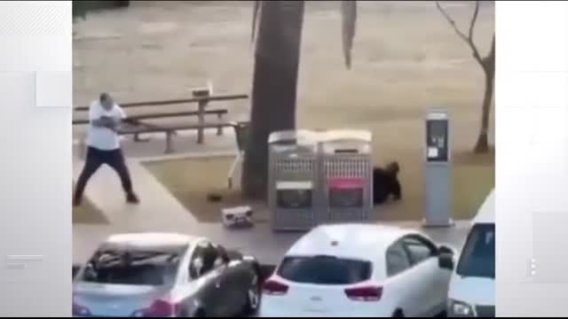 'My son has always been brave' Hero who tackled and disarmed Bondi gunman celebrated