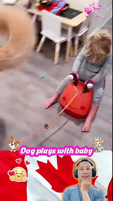 Dog plays with baby ??? #Shorts #baby #pet #love #cute #dog #bestfriend #playtime #puppy