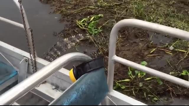 Safari Trips Went Horribly Wrong