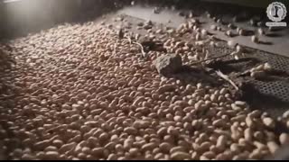 Inside a Modern Peanut Processing Factory From Raw Peanuts to CRUNCHY Peanut Butter (Full Process)