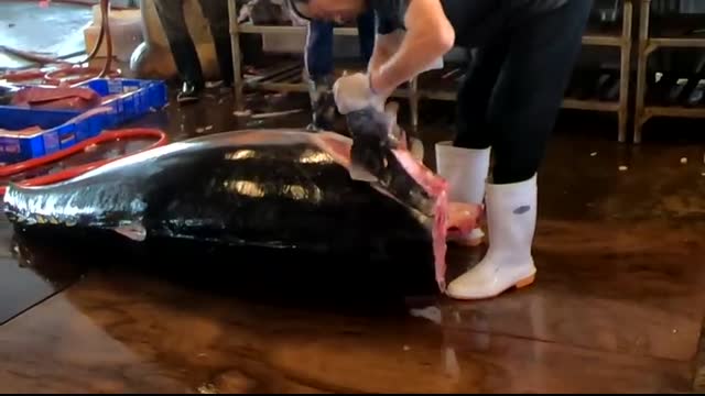 See How a 453kg Giant Bluefin Tuna Is Flawlessly Carved in Seconds