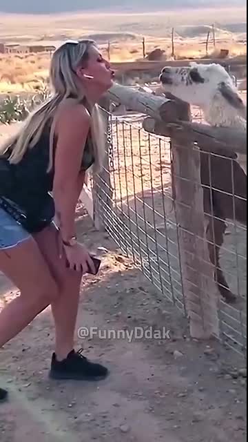 Don't check the sound ??