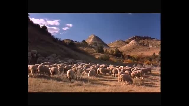 Kris Kristofferson - From the bottle to the bottom (1971)