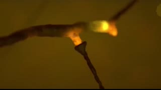 Human Nervous System (Part 2) - How the Brain Works! (Animation)