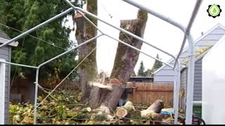 Dangerous Idiots Truck & Heavy Equipment Fails Compilation   Extreme Truck Idiots at Work #17