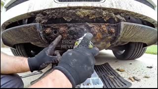 A Bugatti Veyron the World Was Never Supposed to See