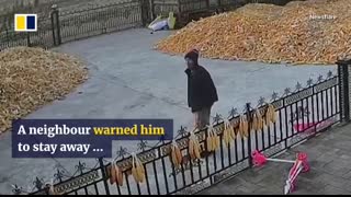 Chinese villager narrowly escapes wild tiger attack