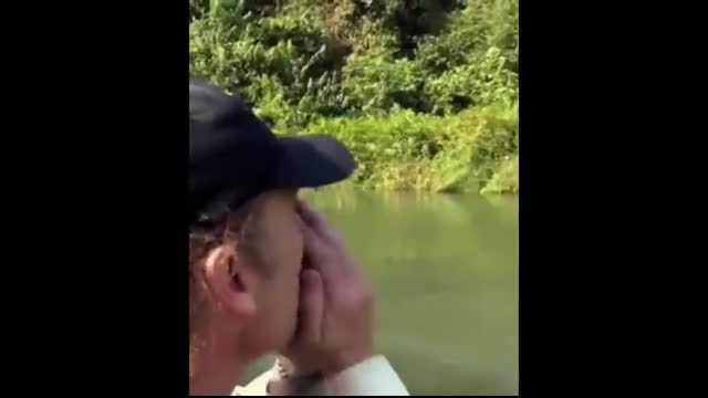 Animals Reunited With Their Owners After Years!