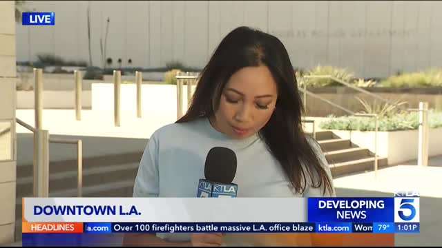 Los Angeles Police Commission grilled about fatal ICE officer-involved shooting of California man