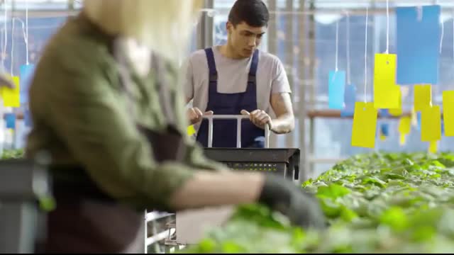 Governor Of Arkansas LOSES It After Farmers Can't Afford New Holland Equipments Due To John Deere!!