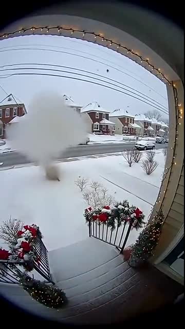 PERFECT PLATINUM RUINED! ? Elegant Thief's Package EXPLODES In Her Hands! (White Dust Dynamite!) ?