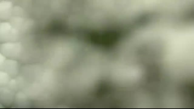 Human digestive system - How it works! (Animation)