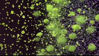 Human digestive system - How it works! (Animation)