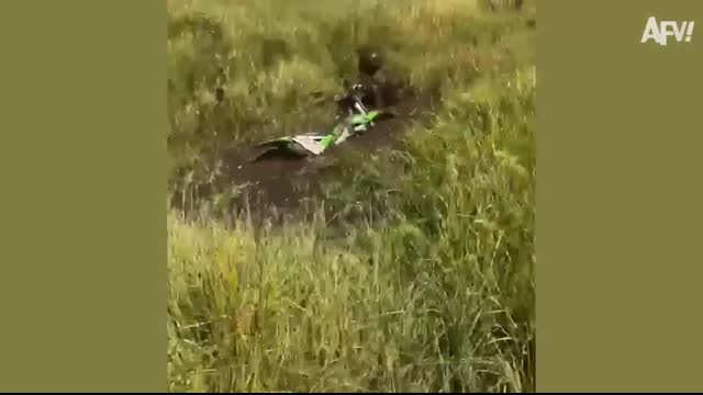 Try Not to Laugh Challenge ? Best Fails of April 2025