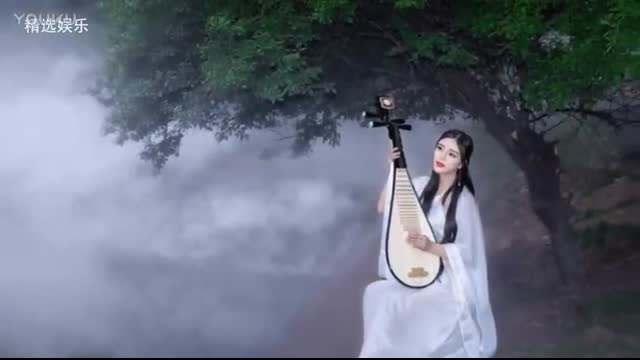 《想你的时候问月亮》雨中百合