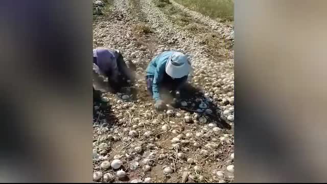 Unbelievable Smart Worker & Hilarious Fails   Construction Compilation #28 #fail #construction