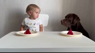 The FUNNIEST Talking Baby and Dog Moment Caught on Camera