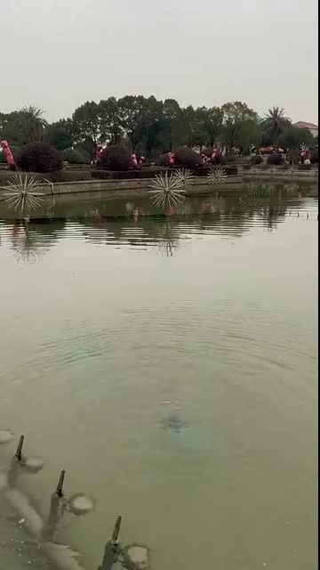 o4防水穿越机！ 35圈圈 全球可定 #dji #fpv #fpvdrone #photography #防水