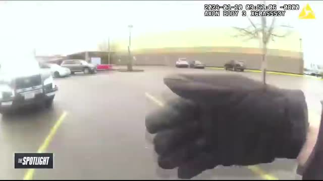 Deputy makes split-second decision when armed civilian attempts to help during traffic stop