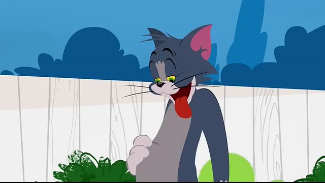 Tom & Jerry   Bellyache   WB Kids