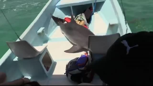 Most Incredible Incidents at Sea Caught on Camera