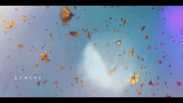 【MV】崔伟立《醉酒的蝴蝶》男声版   高清歌词