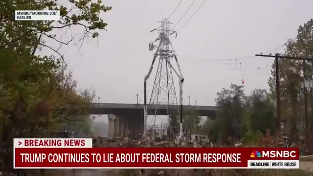 ‘We all watched, we all saw him fail’ Nicolle Wallace on Trump's past handling of a national crisis