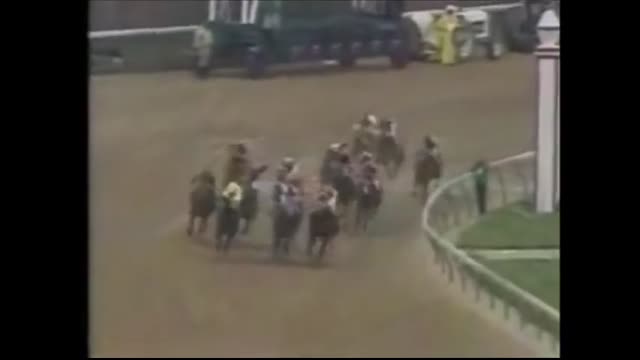 Easy Goer and Sunday Silence All Four Races