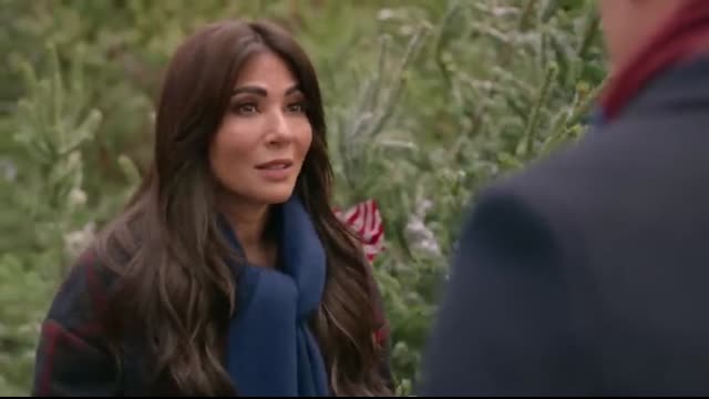 Christmas CEO   Hallmark Movies