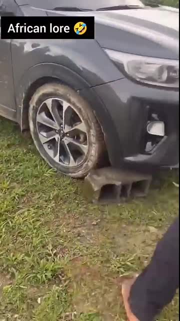 the most crazy ?? #funny #viral #shorts