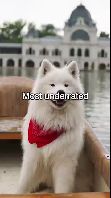 Ranking Europe's Best Cities