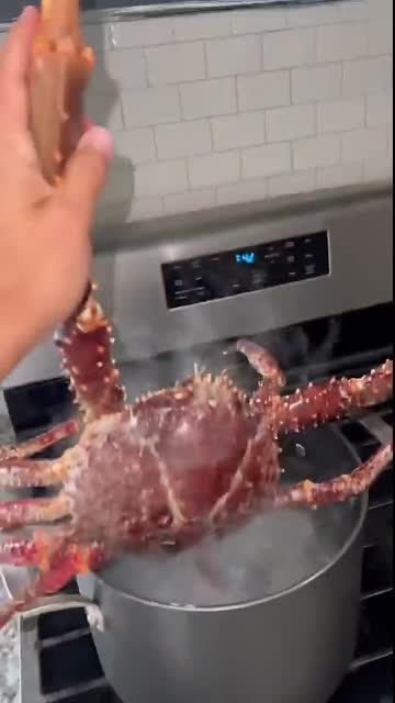 COOKING GIANT CRAB
