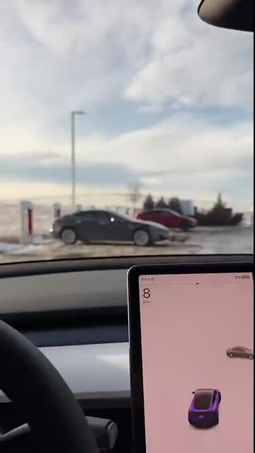 My Tesla Almost Died In The Cold Weather ??