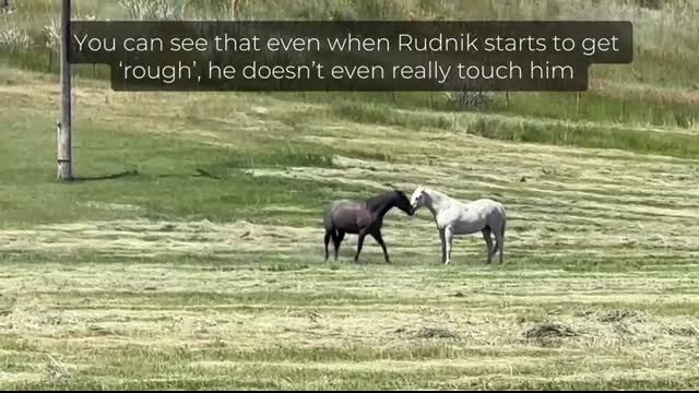 I’m so glad I didn’t stop filming!