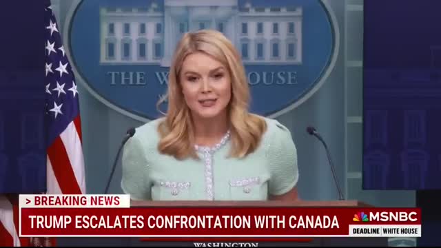 ‘She’s either tragically uniformed, or lying’ Nicolle on Karoline Leavitt’s responses to tariffs