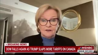 ‘She’s either tragically uniformed, or lying’ Nicolle on Karoline Leavitt’s responses to tariffs