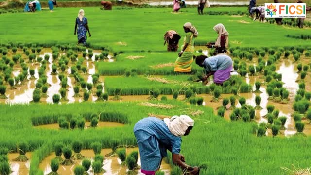 Overview of Fruits and Vegetables Processing Industry