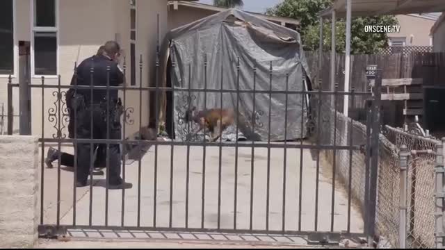 National City K9 Officer Attacked During Suspect Search