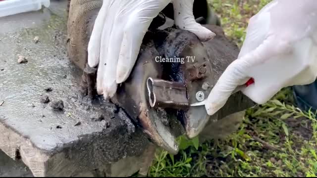 Ep57 - Cleaning TV - Experts use stone to treat cow's foot - THE CLEANING and CUTTUNG!