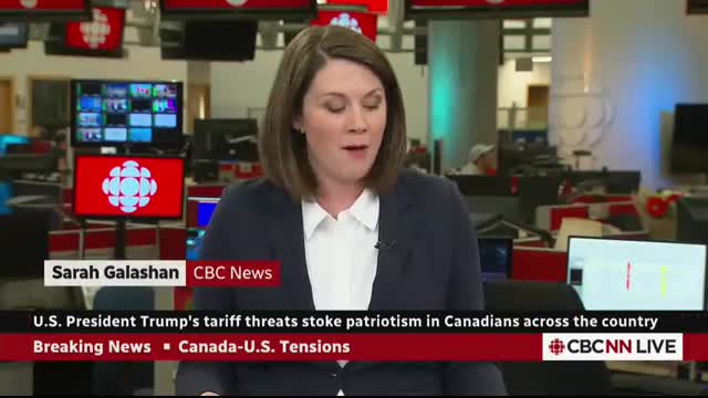 Canadian flag sales surge — even across the border seller   Canada Tonight