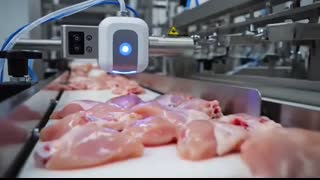 Inside the Largest KFC Factory USA From Fresh Chicken to Crispy Perfection (Full Process)