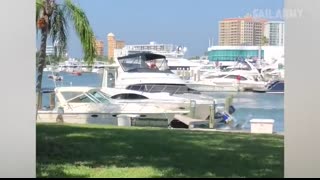 Most Expensive Fails of the Year Compilation